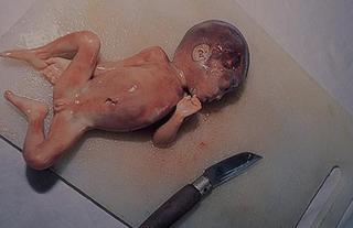 人肉食5.jpg